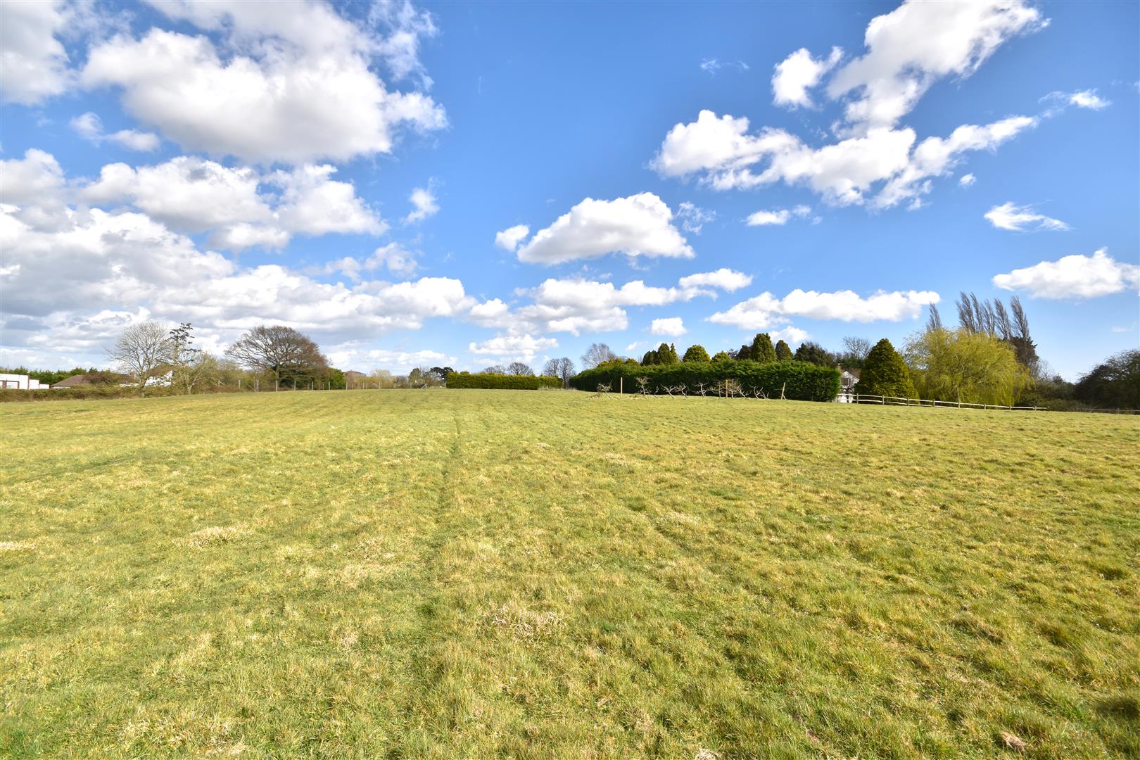 Iden, Rye Rush, Witt & Wilson